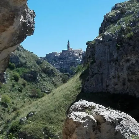 Fiore Di Loto *